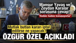 Haber gorseli