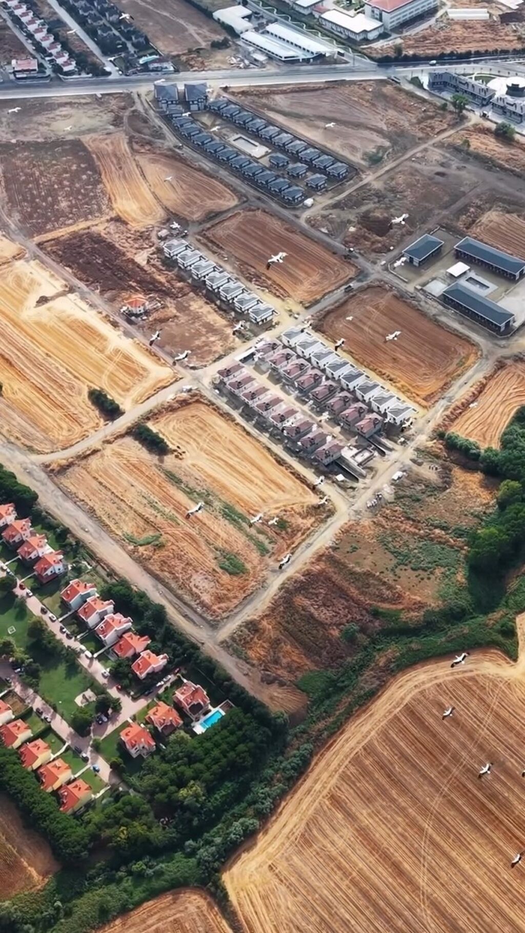 leylek-surusu-tekirdag-semalarinda-dronla-goruntulenerek-goc-yolculugunu-surdurdu-WQZgrzR1